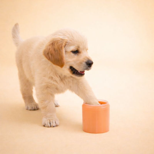 QuickClean Paw Washer – Remove Mud in Seconds